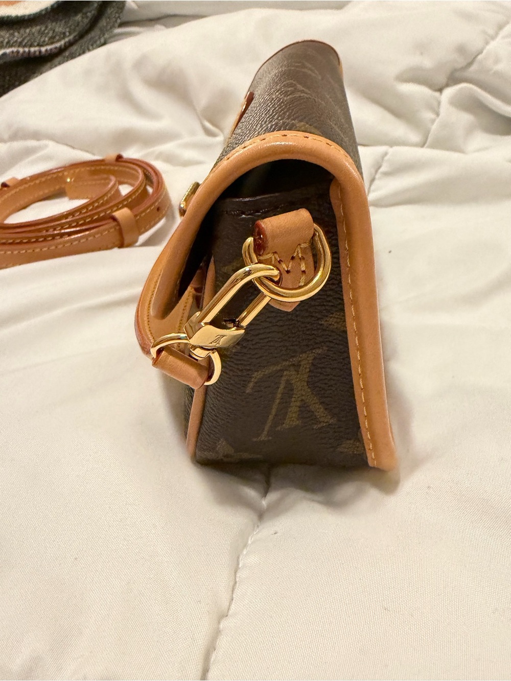 Louis Vuitton Monogram Nano Diane - Picture 7 of 13